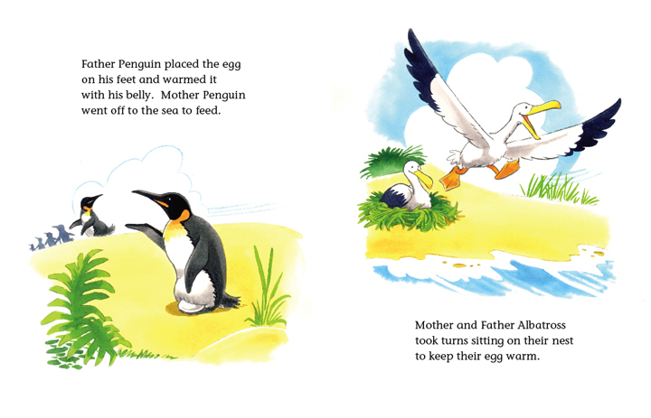 Read-Aloud Book_The Penguin Child and the Albatross Child_Hatching eggs_2