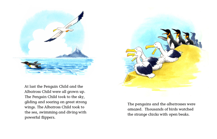 South Georgia Island_Penguin Child_Albatross Child_5