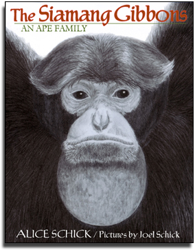 Read-Aloud book_Nature book_Siamang Gibbons_Ape family