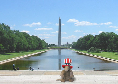 Armadillo_Washington DC_Washington Monument_Parody