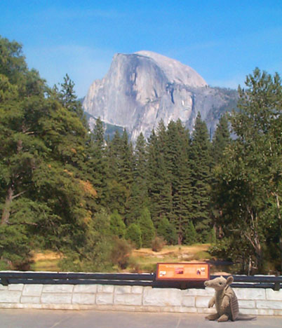 Armadillo_Yosemite National Park_Half Dome_Parody