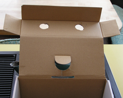 Faces_Inanimate Objects_Box Lid