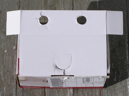 Faces_Inanimate Objects_Box