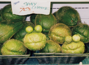 Faces_Inanimate Objects_Chayote