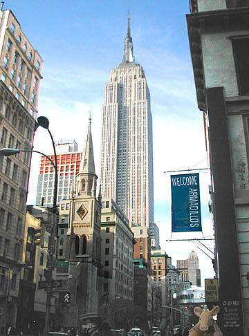 Armadillo_New York_Empire State Building_Parody