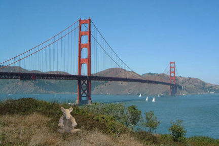 Armadillo_San Francisco_Golden Gate Bridge_Parody