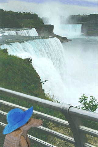 Armadillo_Niagara Falls_Parody